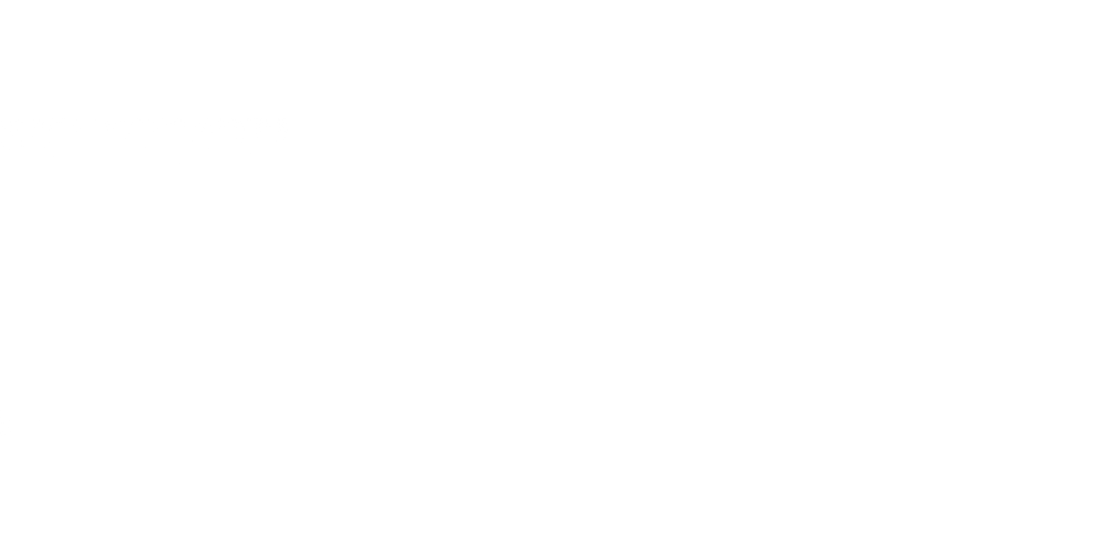 Voluzzo